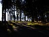 DSC05960.jpg